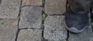 Natvarlal Nayee missing from Ahmedabad Gujarat