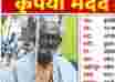 Purushottam Yadav missing from Ghaziabad Uttar Pradesh